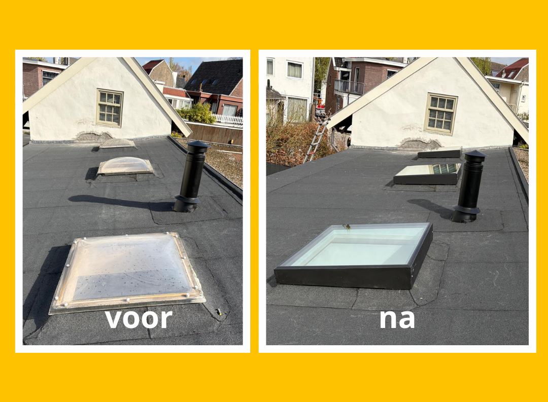 daklichtshop renovatie glaskoepel TopSky